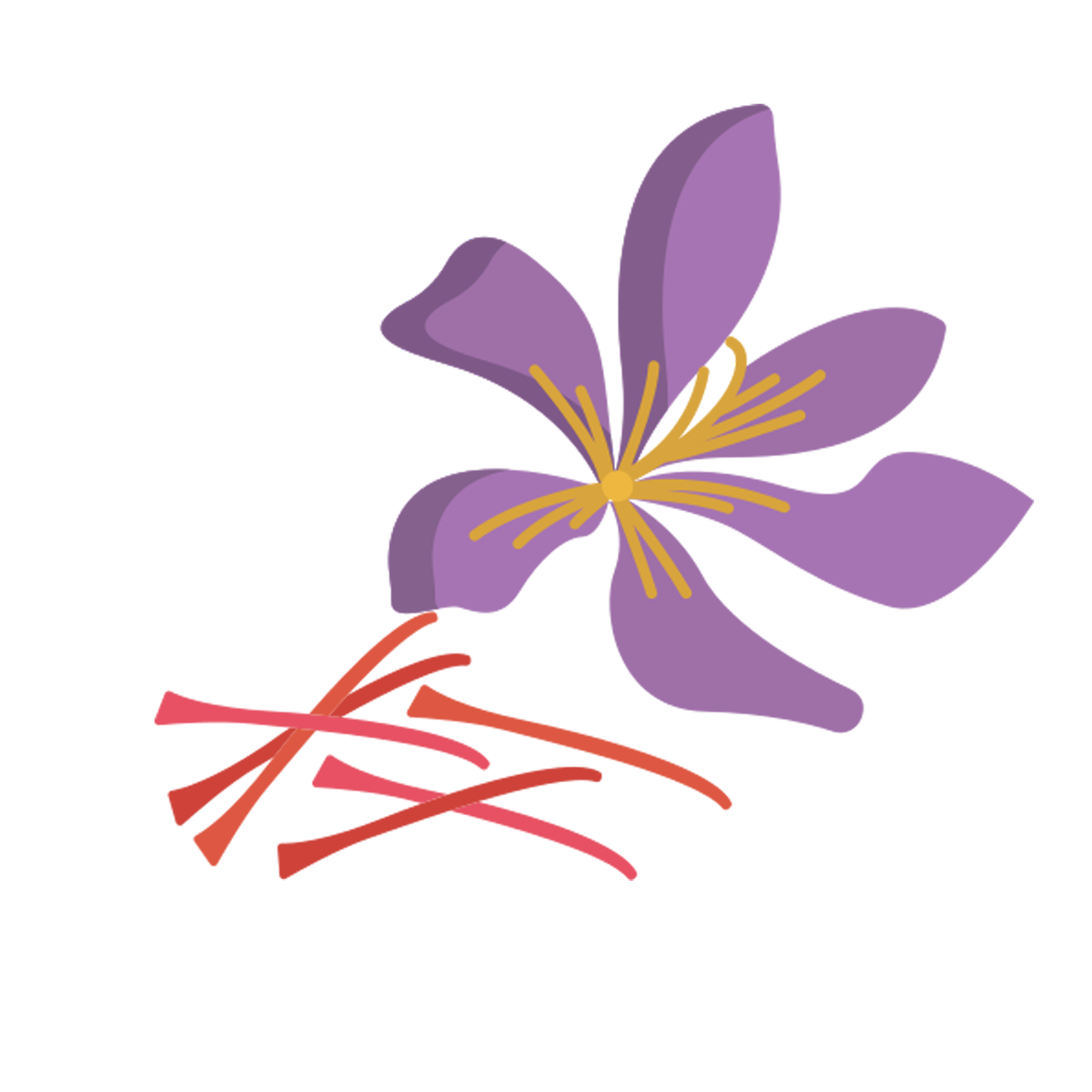 زعفران زمینه